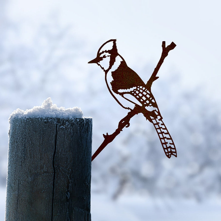 Blue Jay steel silhouette mounted on a snow-covered wooden post.